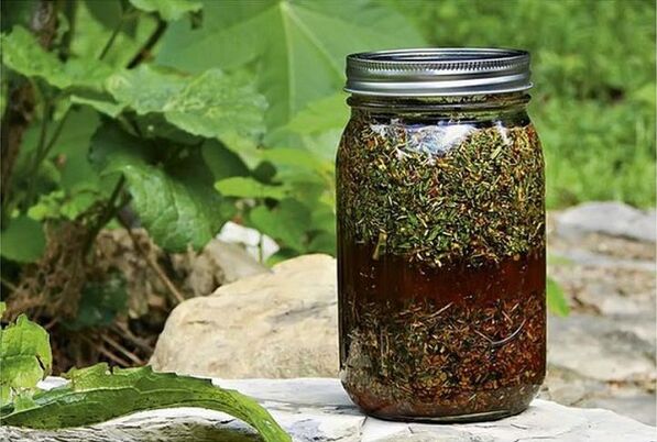 infusão de ervas contra parasitas